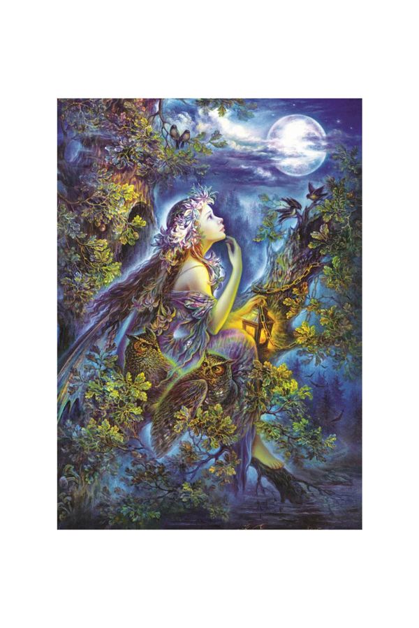 Art Puzzle-العلامة التجارية: 1000 قطعة في أحلامي الفئة: لغز 1