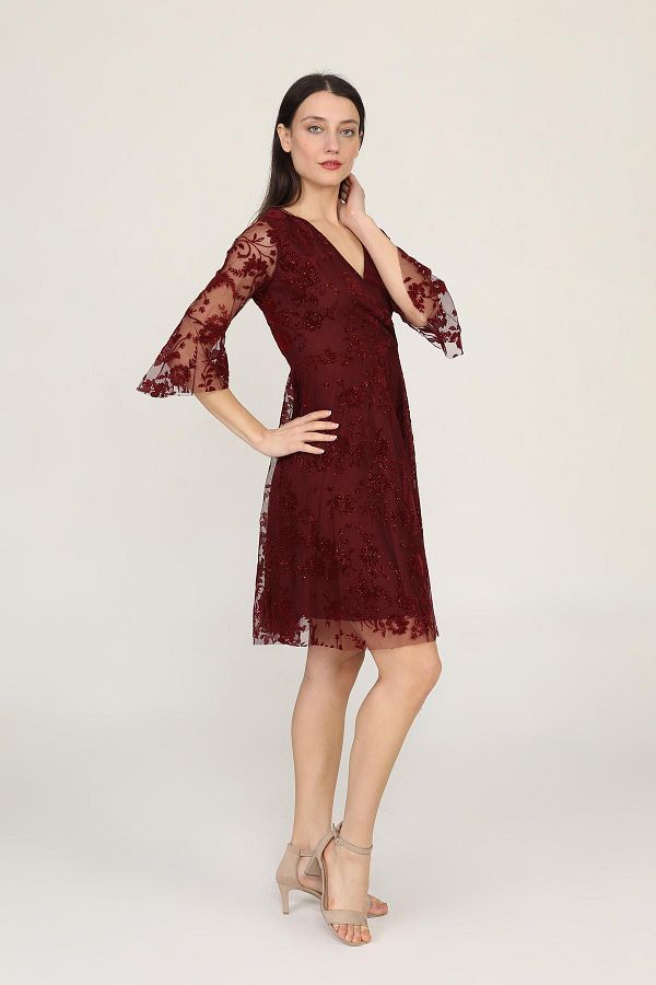 Ceylen-Women's Double Breasted Collar Flywheel Sleeve Glitter Flocked Tulle Mini Dress 1