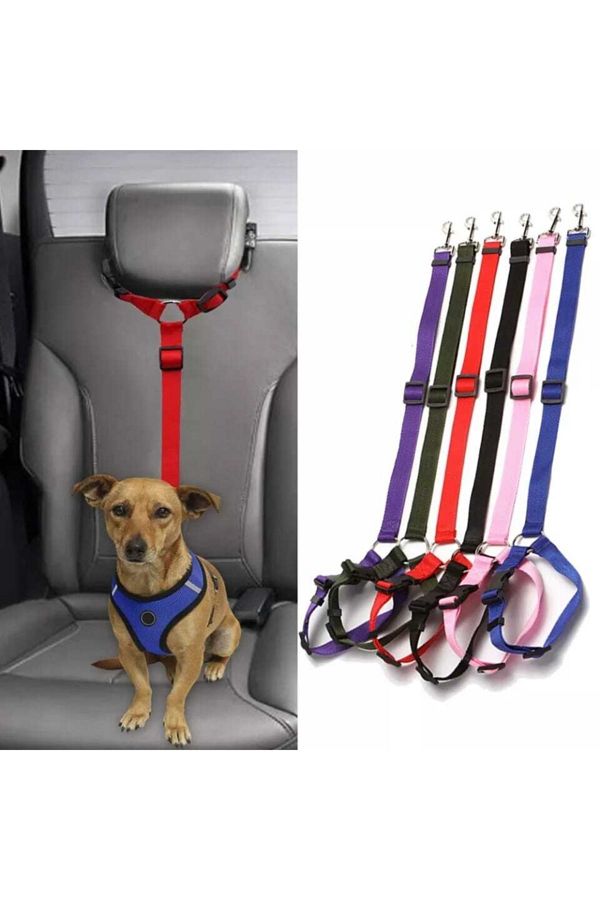 Seat belt collar outlet