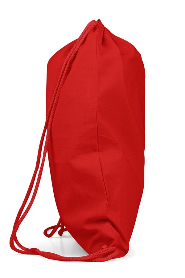 Apple logo backpack top