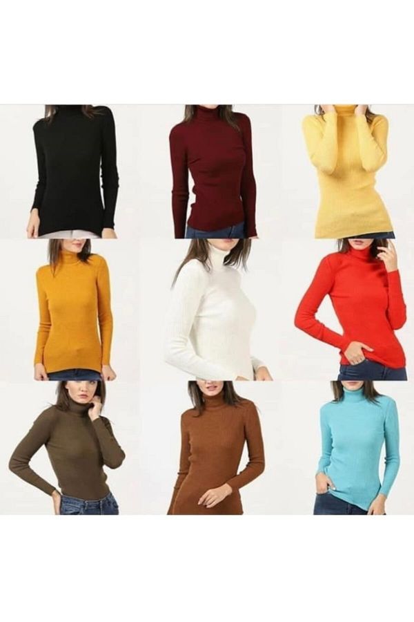 Ae turtleneck sweater outlet