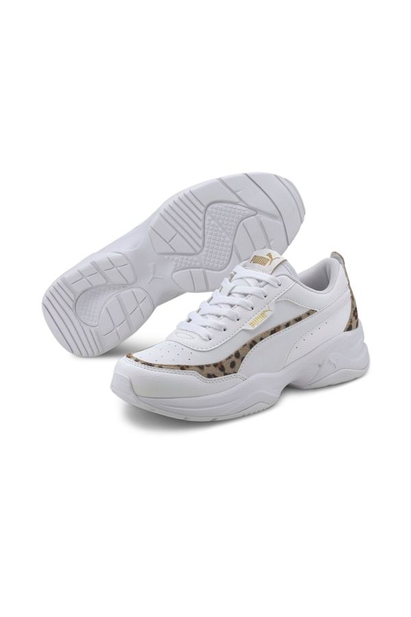 Puma cilia leo 2025