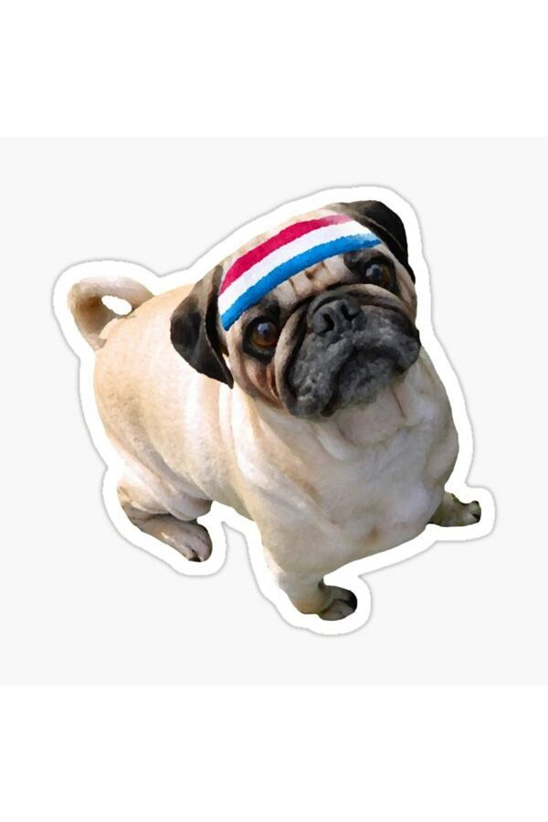 TSC-Autocolant pentru câini rase Pug Auto Auto Paste 17cm A4 1