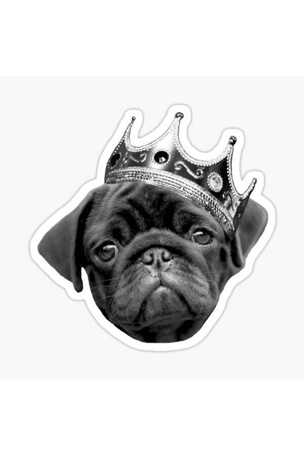TSC-Autocolant pentru câini rase Pug Auto Auto Paste 17cm Z7 1