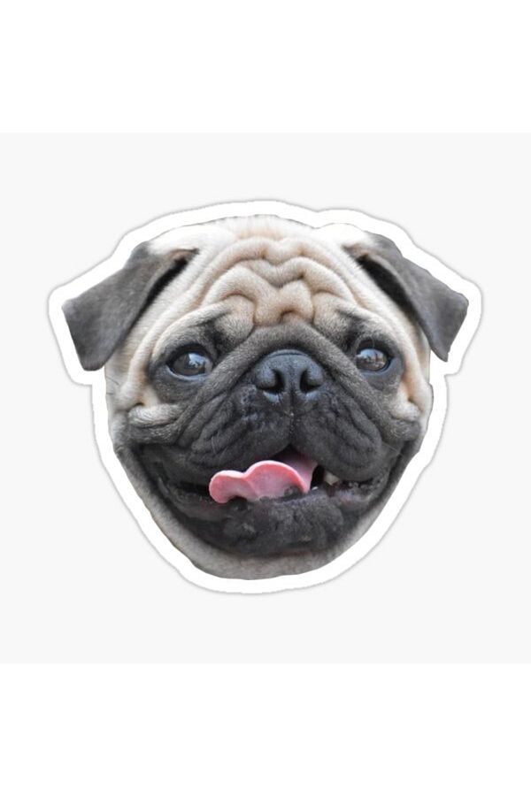 TSC-Autocolant pentru câini rase Pug Auto Auto Paste 17cm Z8 1