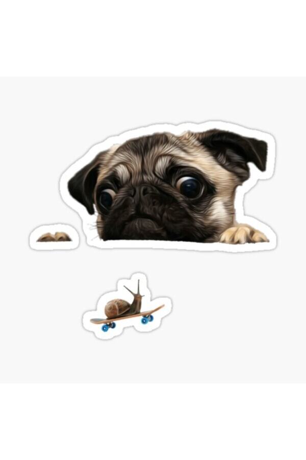TSC-Autocolant pentru câini rase Pug Auto Auto Paste 17cm B3 1