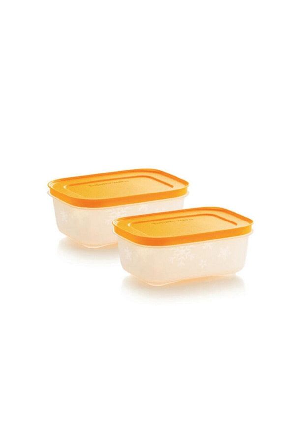 Tupperware-Alaska Deep Freezer Storage Container 450 Ml Set of 2 1