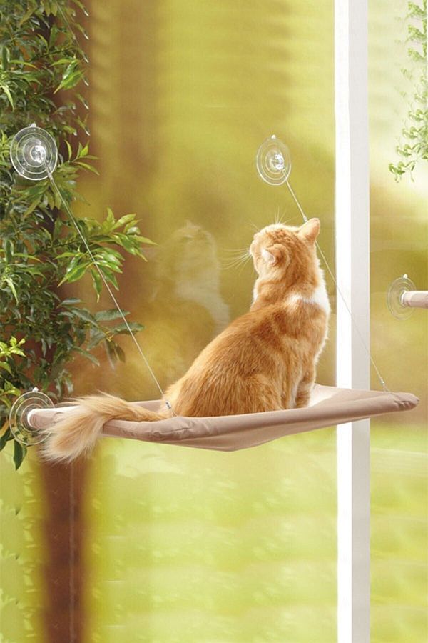 Toptanpro Sunny Seat Window Hanging Cat Bed with Suction Cup Trendyol