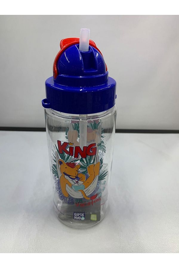 Gıpta-Fun Tritan Patterned Flask with Straw 500 Cc 2 1