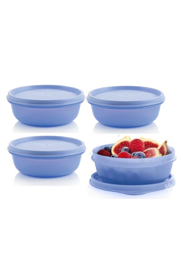 Tupperware-Refrigerator Storage Container 4x300 Ml Candy Containers Hsgl 1