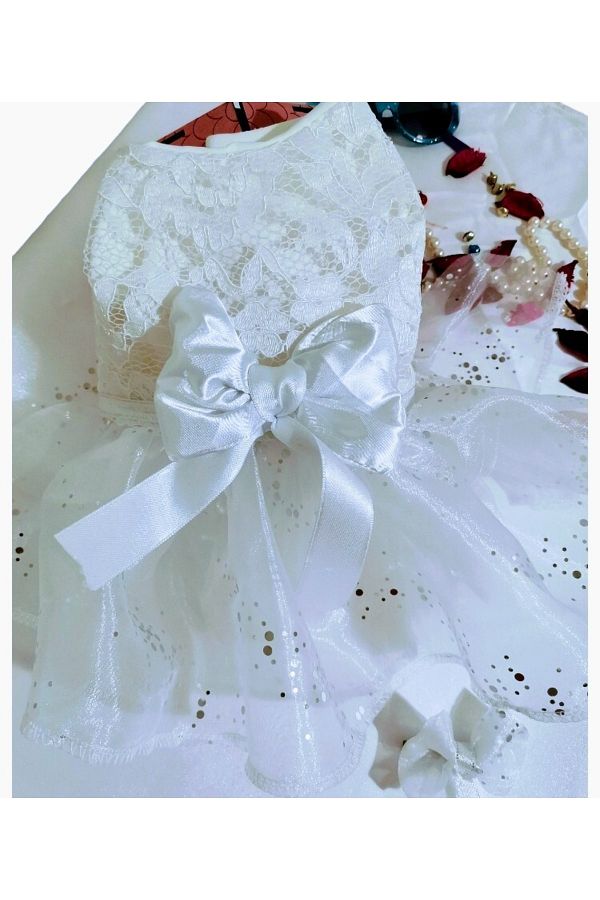 atelyu-Cat Dog Clothes Bridesmaid Dresses White Dress with Lace 1
