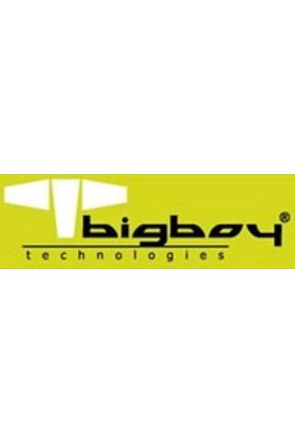 Bigboy-Bts432/32G 32Gb Ddr4 3200Mhz Cl22 Registered Ecc Server Memory 1