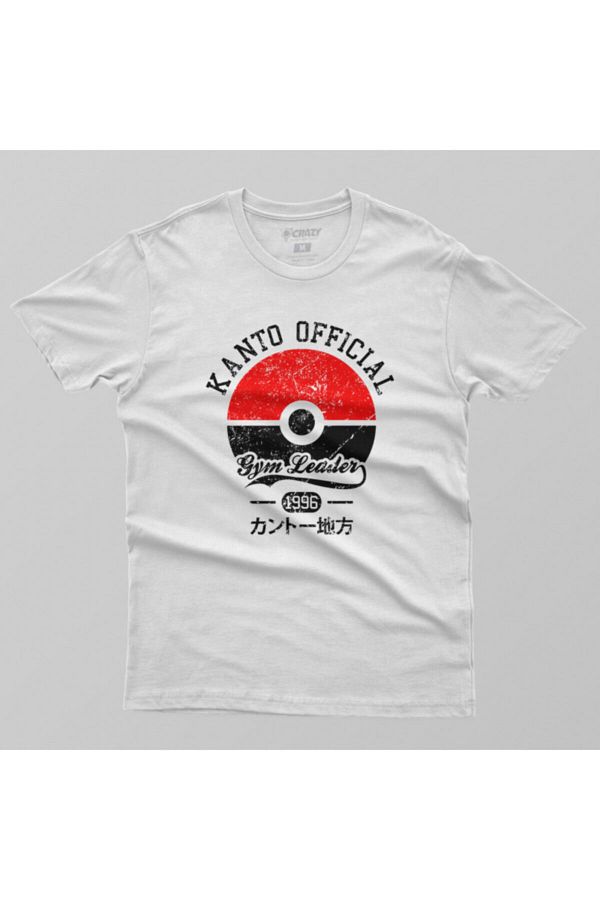 Pokemon gym leader shirt store