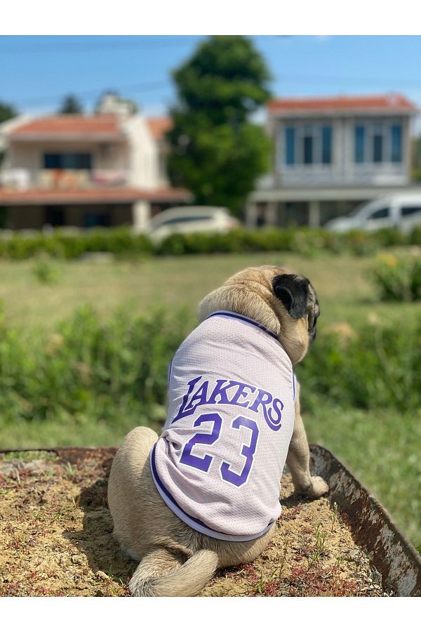 Lakers dog shirt shop