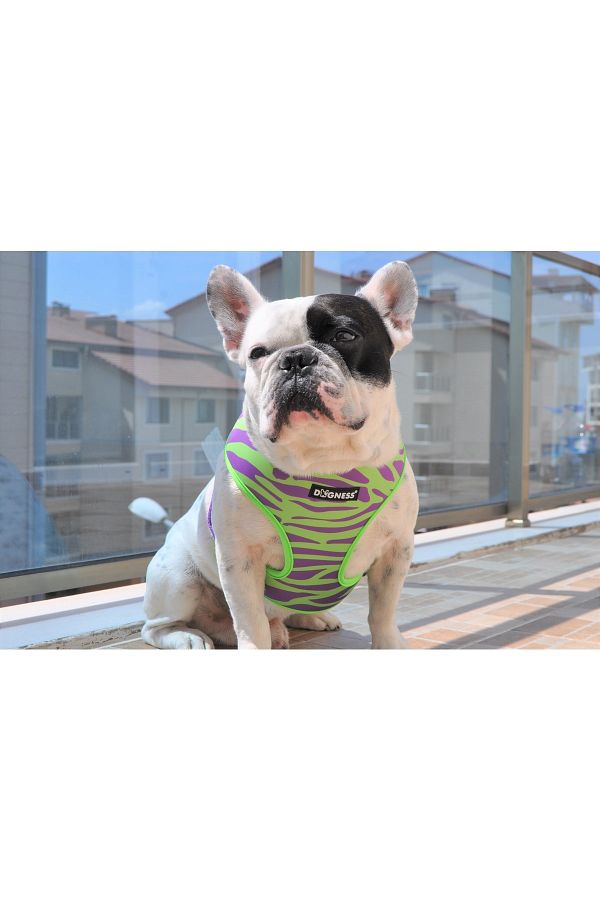Dogness Wakanda Model Special Production Cat Dog Collar Trendyol
