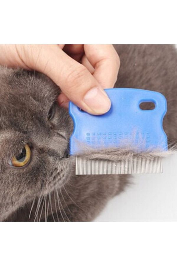 Pet Zoom-Cat Dog Flea And Flea Comb 1