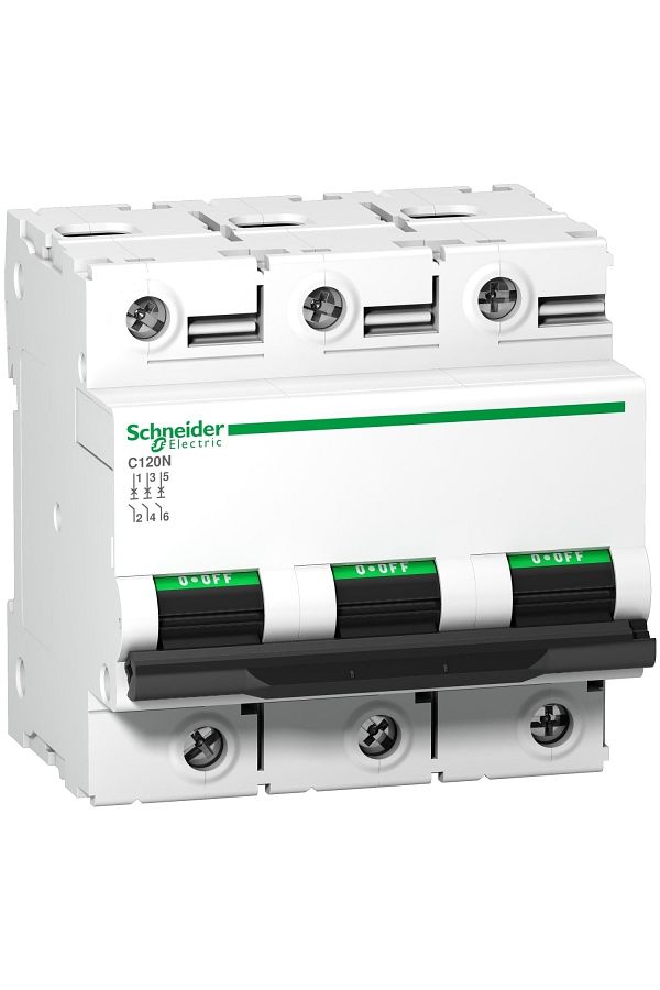 Schneider Electric-A9n18367| Schneider Automatic Fuse - 100 Ampere, 3 Pole, 10ka, C Curve 1