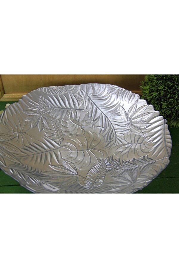 رويليا لوحة الدورة الرئيسية