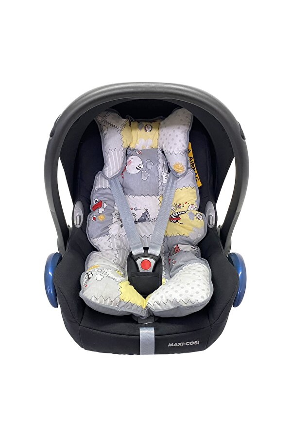 Ezh Puset Ve Oto Koltuğu Minderi P1010