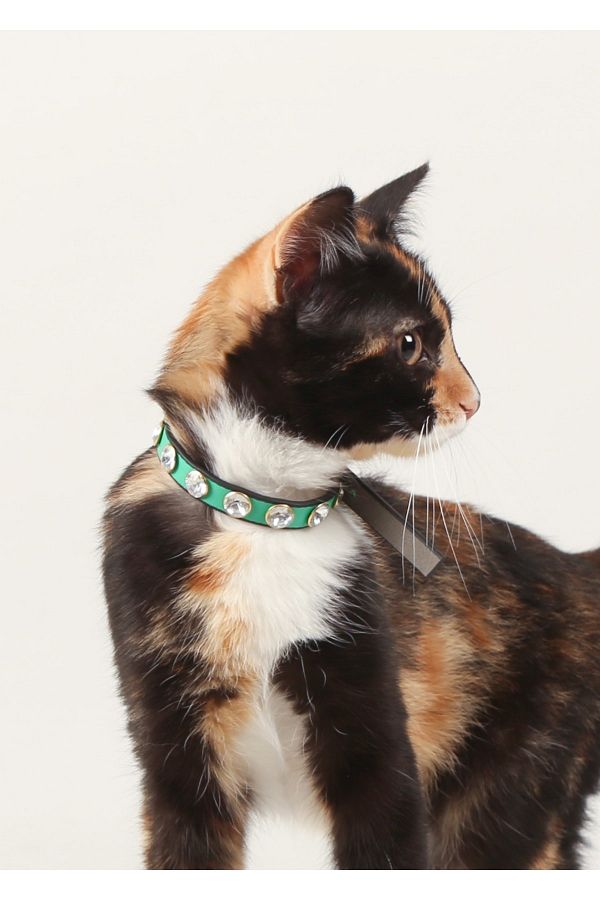 PURCAT Swarovski Stoned Riveted Soft Leather Cat Collar with Metal Buckle Trendyol