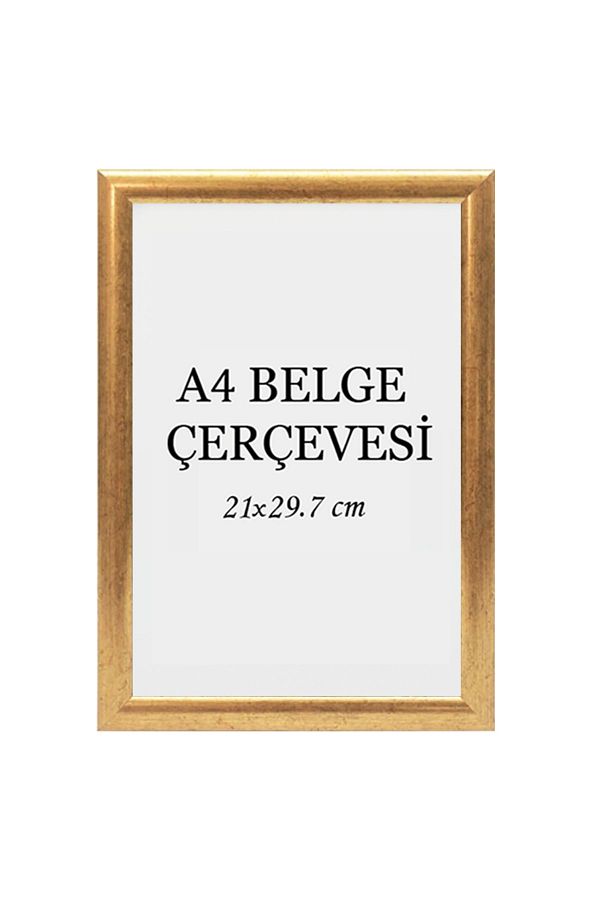 ÖZCANLAR ÇERÇEVE-Diploma Frame Document Frame Certificate Photo Frame A4 Single Empty Frame 21x29.7-21x30 1
