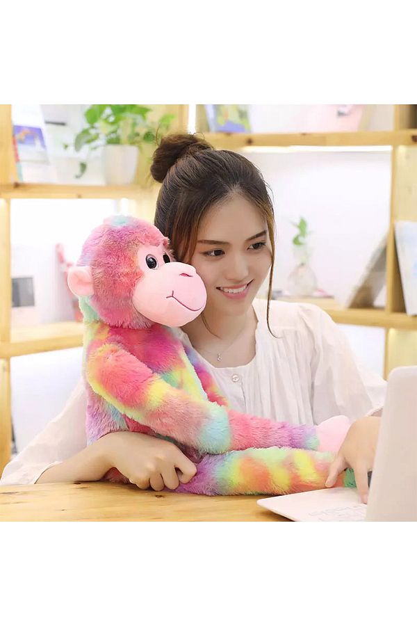 Rainbow monkey plush sales