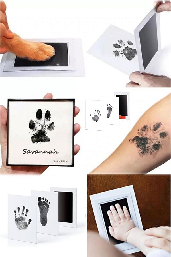 TechnoSmart-Pet Paw Print Set - Non-toxic, Inkless Printing Kit, Suitable for Cat Dog 1