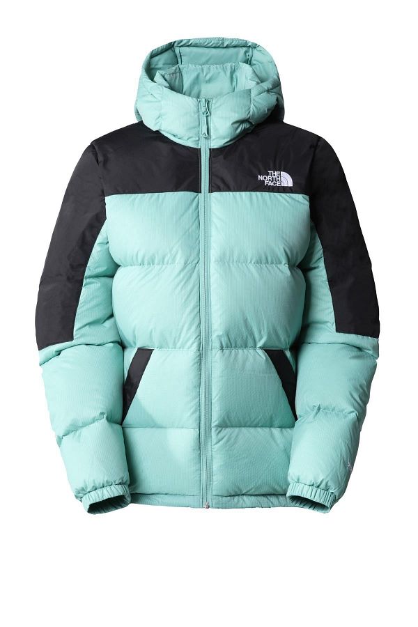 North face turquoise hoodie online