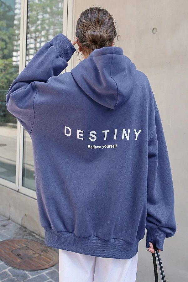 Destiny sweatshirt cheap