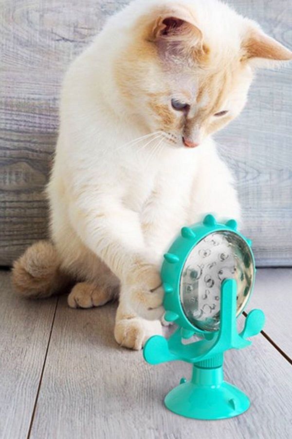 Suction cup cat toy on sale