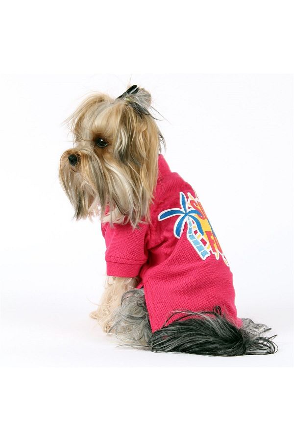 Lacoste dog clothes discount