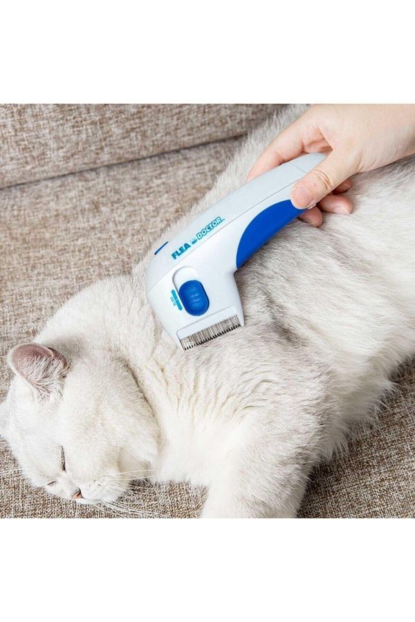 Flea cheap doctor brush