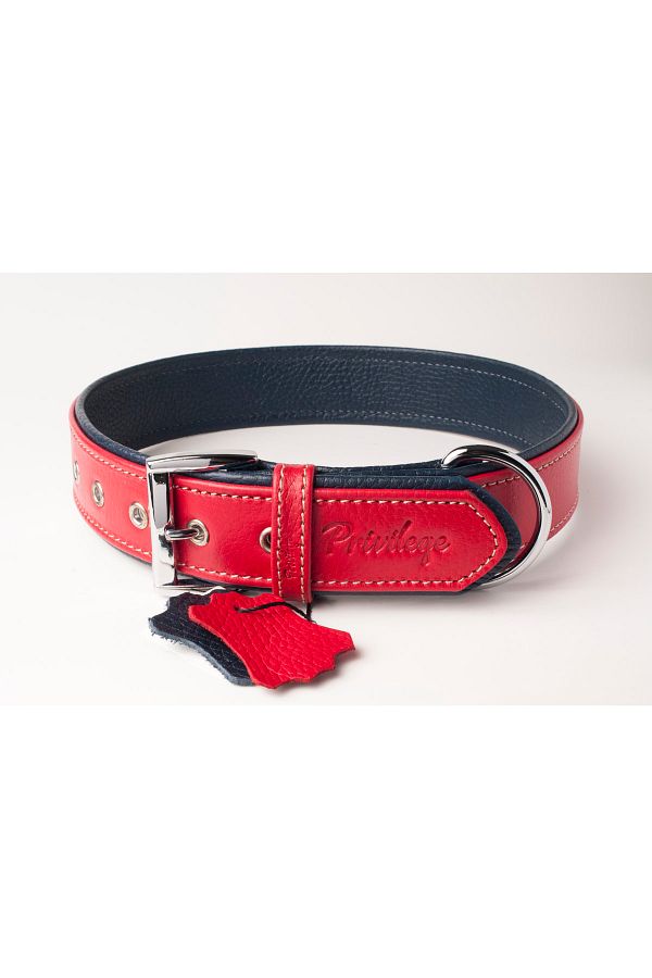 Privilege-Flotter Genuine Leather Dog Collar S Red Navy Blue 2.5x32-41 Cm 1