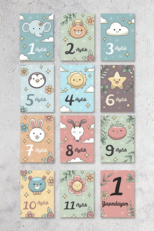 Kapbirhediye Aylık Bebek Kartları Fotoğraf Çekimi 2