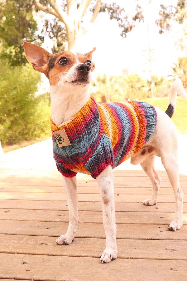 Falpaw Hand Knitted Colorful Dog Sweater cat Sweater Trendyol
