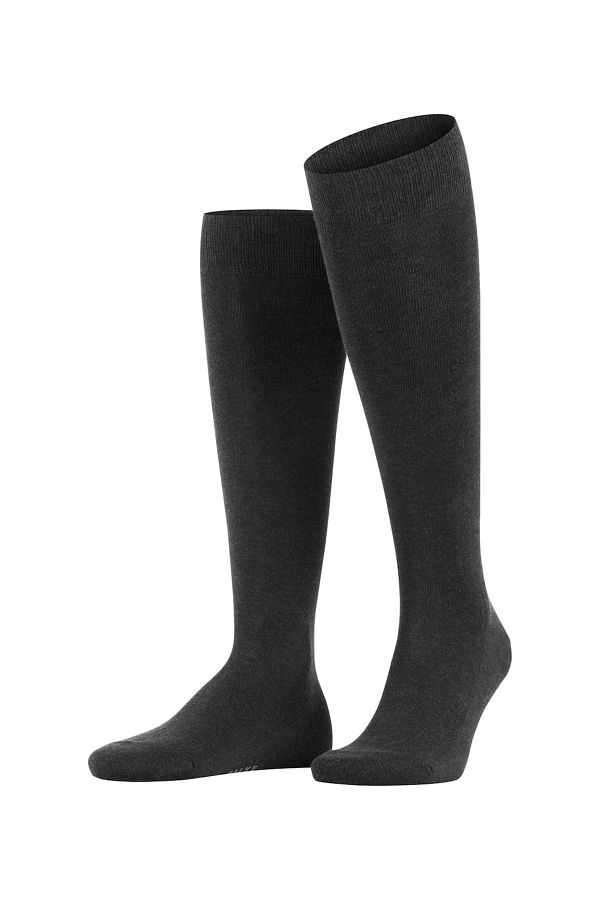 FALKE-Herren Socken – Familie, Kniestrümpfe, Einfarbig Design 1