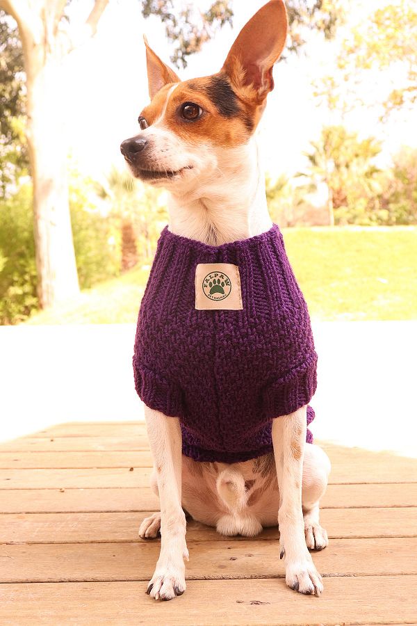 Falpaw Hand Knitted Purple Dog Sweater cat Sweater Trendyol