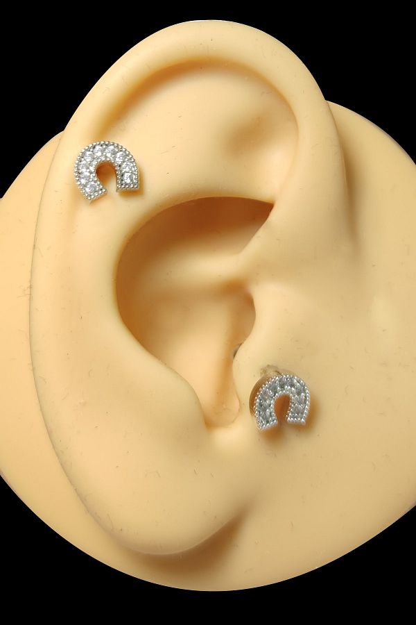 Cartilage piercing horseshoe online