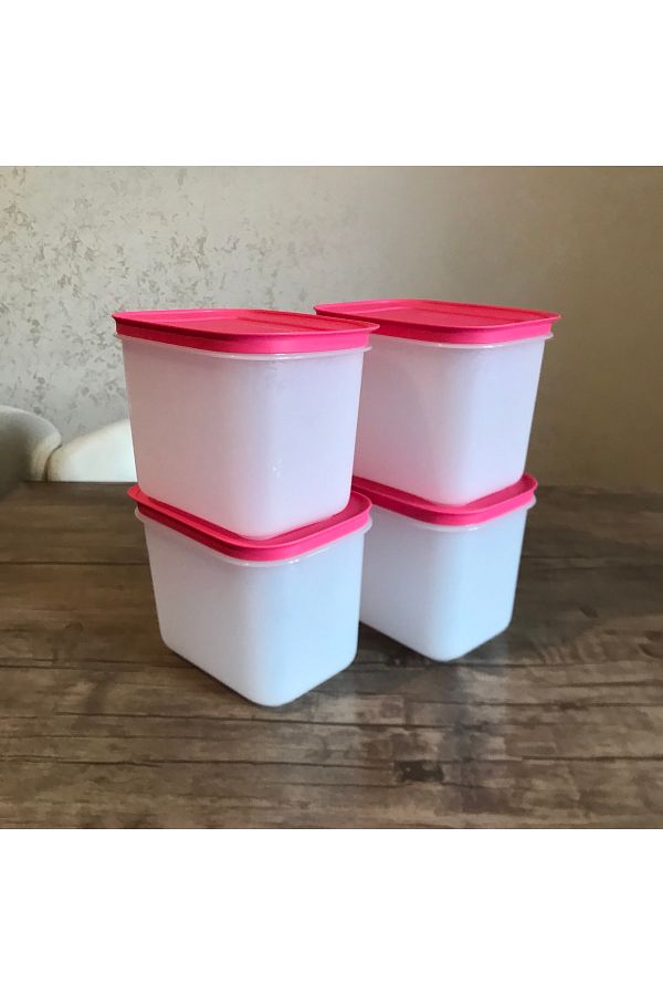 Tupperware-Storage Container for Alaska 1