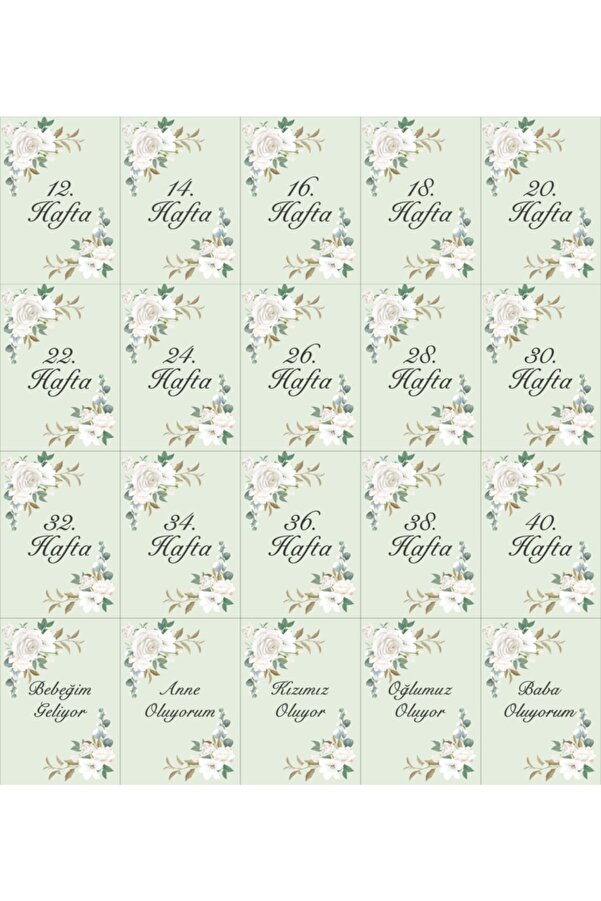 AKILLICA Hamile Anı Kartı Fotoğraf Çekim Kartları (Bebek Aylık Anı Kartları Hediyeli)