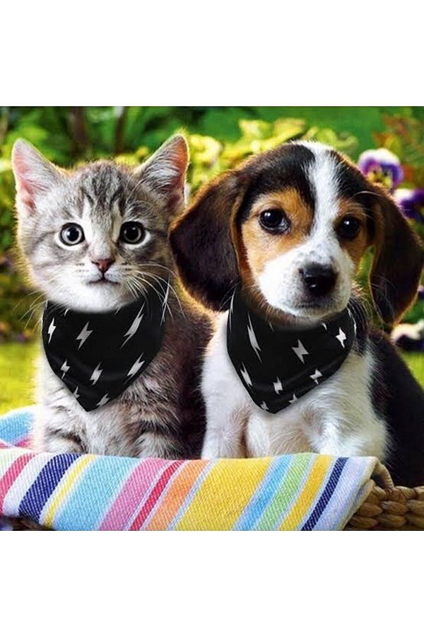 Cat dog scarf discount