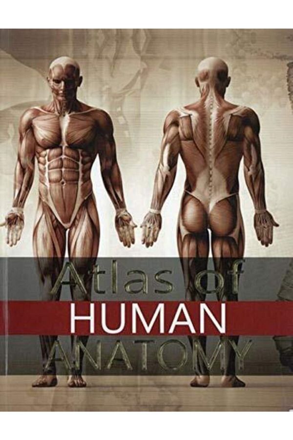 MedPlus-Atlas Of Human Anatomy (English) Paper Cover 1