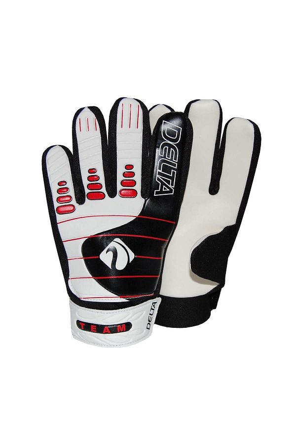Delta-Team Goalie Gloves 1