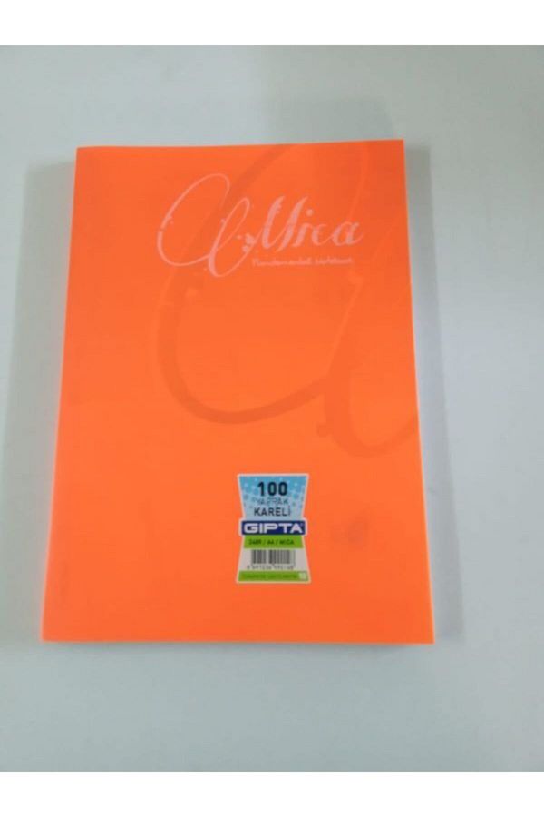 Gıpta-Checked Non-Spiral Notebook 100 Sheets 1
