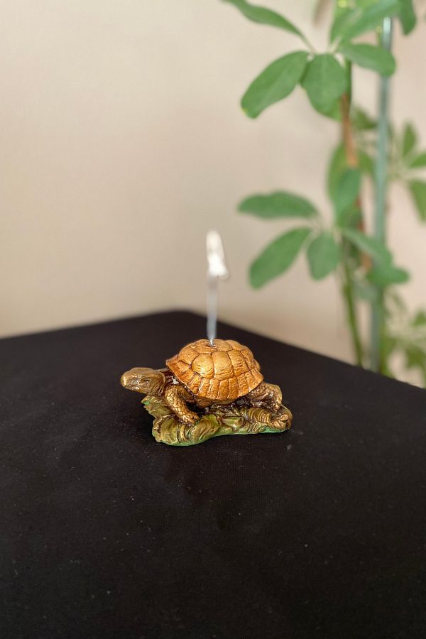 Tasarloxi-Black Turtle Note Holder 1