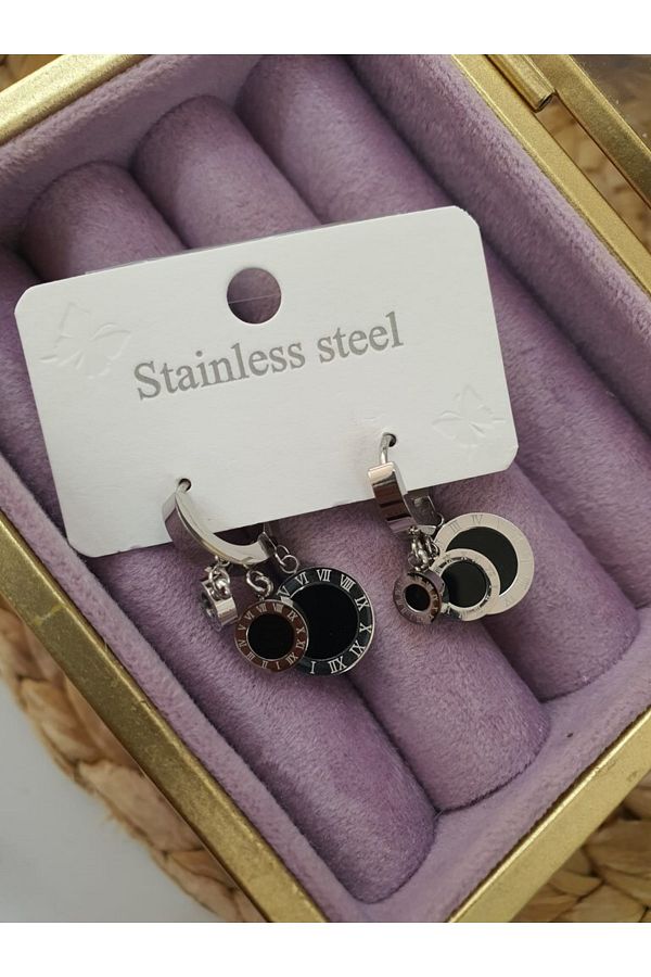 D&H-1652 Steel Silver Earrings 1