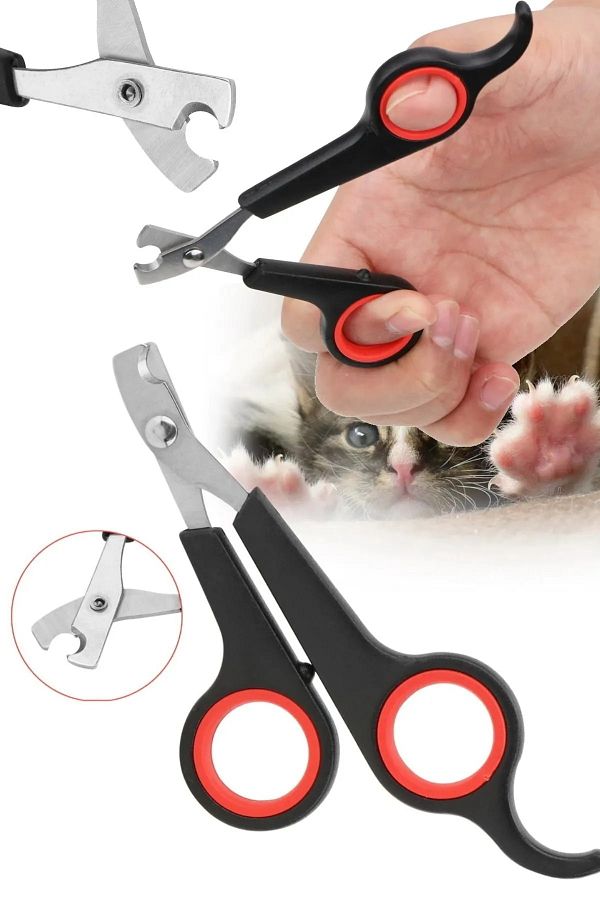 TechnoStation Professional Bird Nail Clippers Suitable for All Animals for Dogs and Cats Pets and Puppies 12 Cm Trendyol