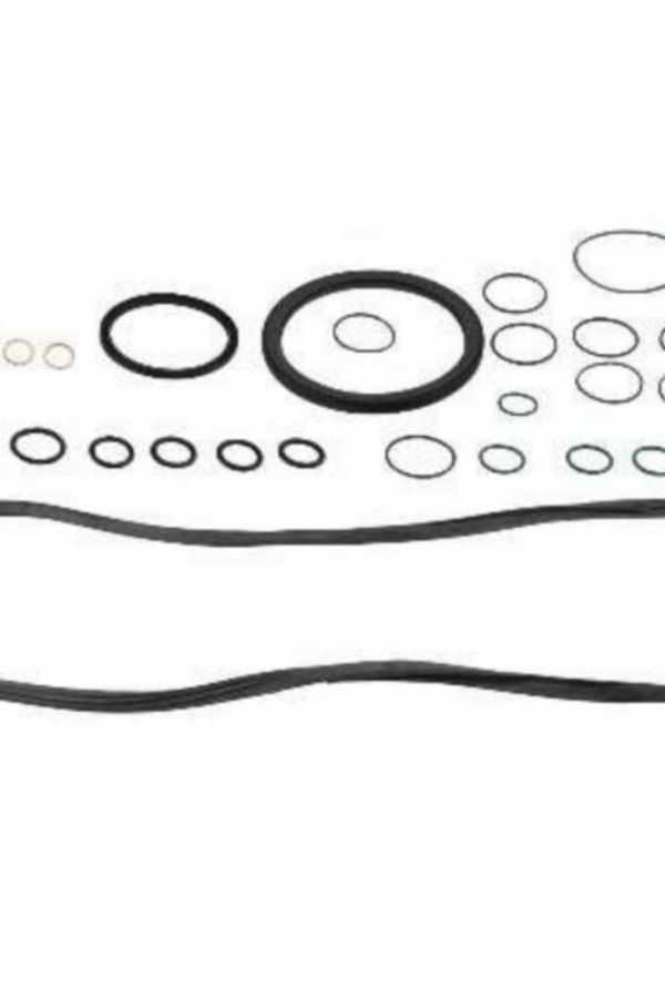 REINZOSIL-Lower Set Gasket Daf 08-31602-01 1