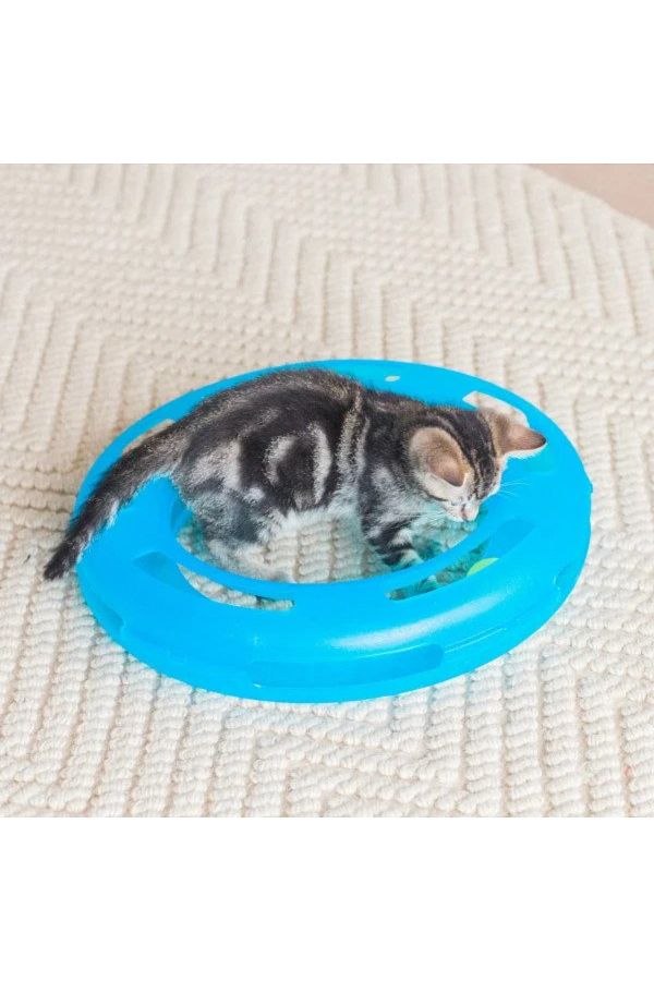 Fat cat crazy circle cat toy on sale