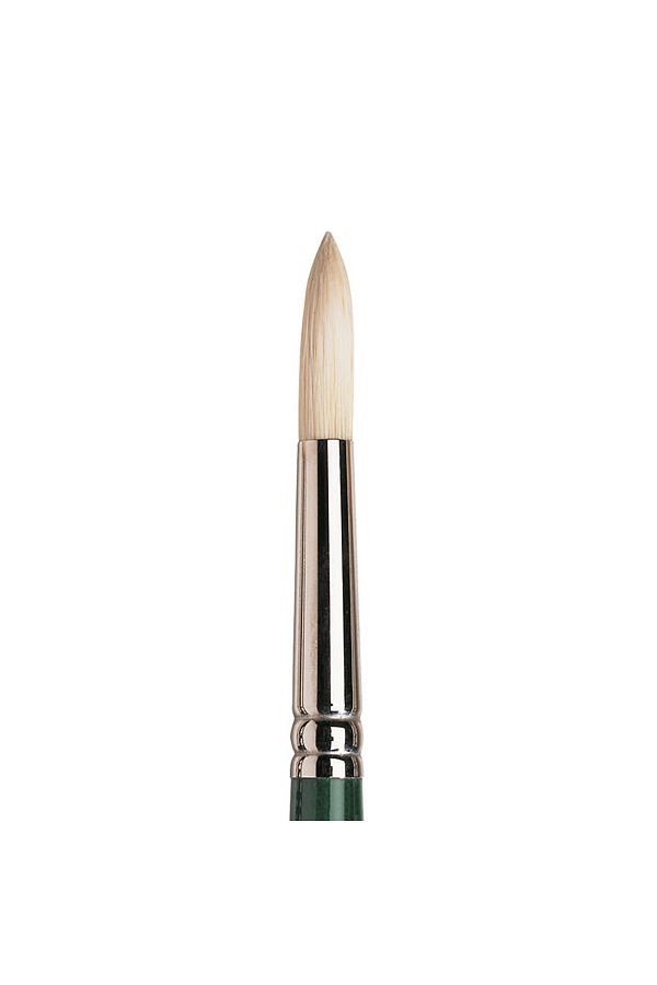 Winsor Newton-Winsor & Newton Winton Long Handle Round Brush with Hard Bristles No:10 1